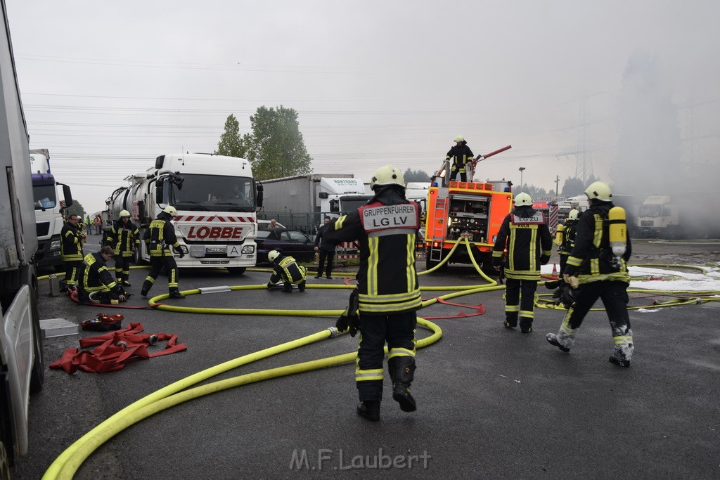 Feuer 3 Rheinkassel Feldkasseler Weg P1124.JPG - Miklos Laubert